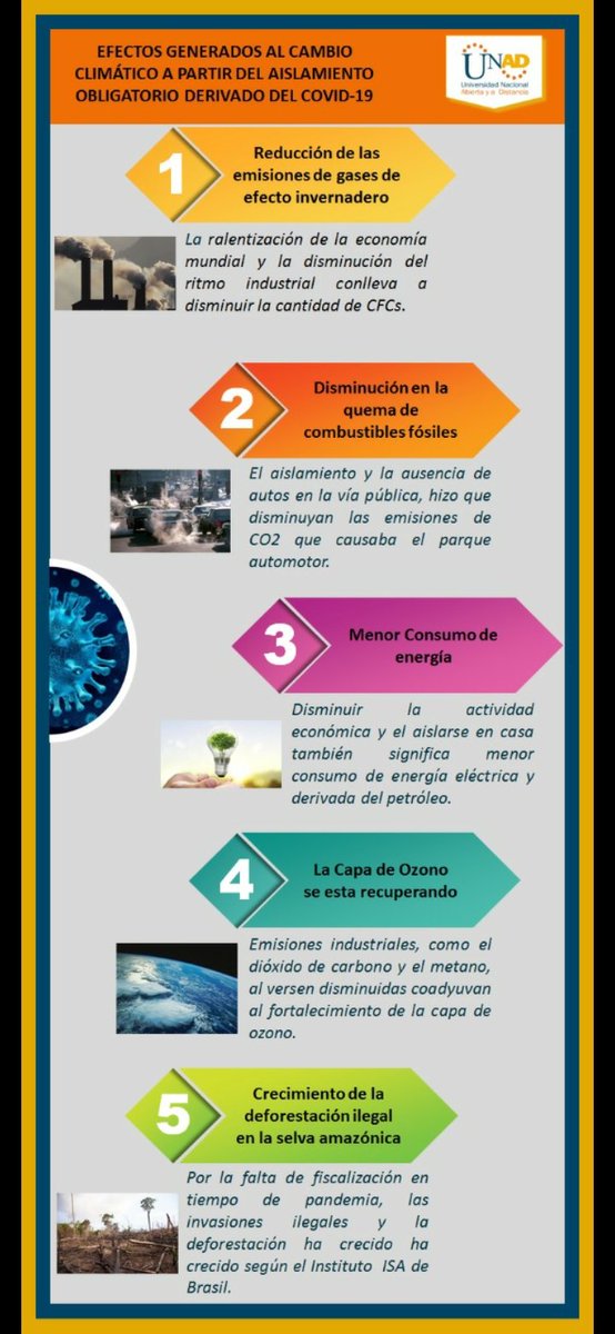 Elizabethparra tweet media