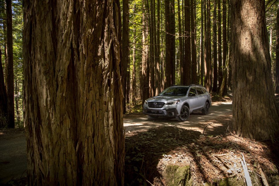 The Subaru Outback earned Good Housekeeping 2020 Best New Family Car! Link here to learn more: prn.to/3aM63Rl

#subaru #subaruoutback #awd #eyesightdriverassist #starlink #bestfamilycar 

Test drive yours today 👉 buyatpremier.com #branfordct #watertownct