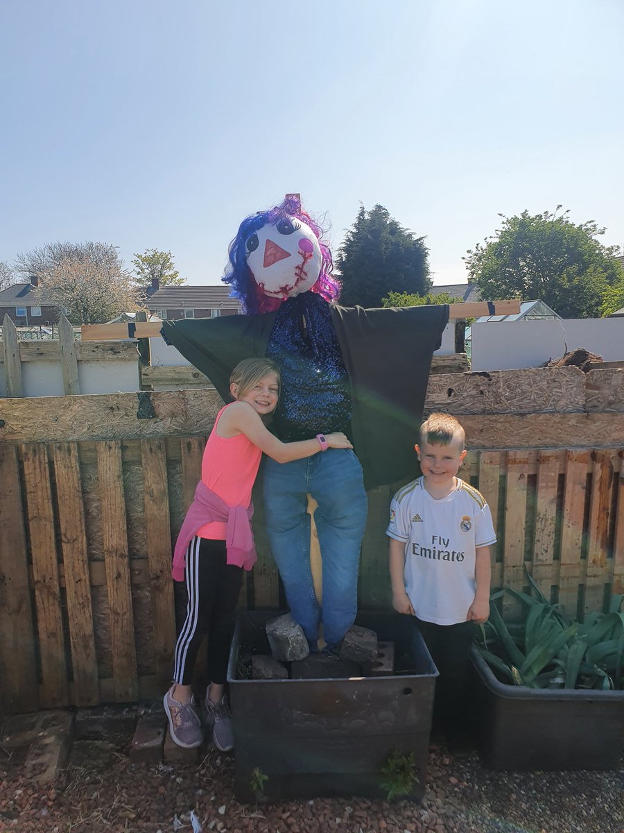 k83wilson's tweet photo. @stcuthbertsns 😂 mostly Granny's work lately but the kid's veg is coming along good! We took the scarecrow we have been making along to keep our veggies safe. https://t.co/SnhqDeY8E5