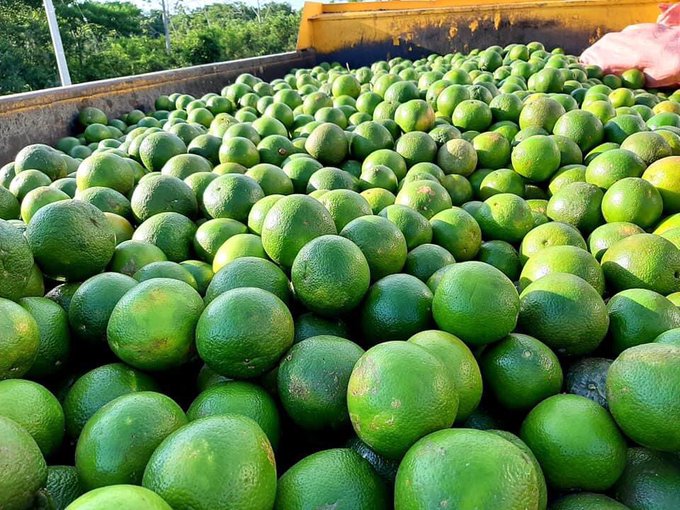 Florida - Venezuela crisis economica - Página 17 EWtdIEYXgAU2cWY?format=jpg&name=small