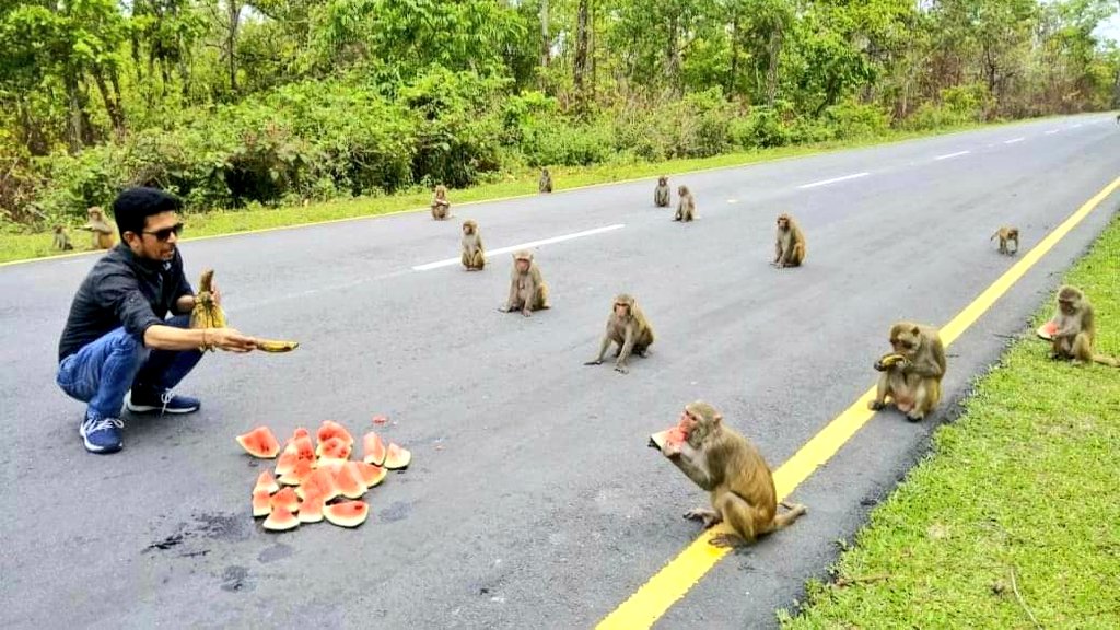 KirenRijiju's tweet photo. A perfect #SocialDistancing seen near Bhalukpong in Arunachal Pradesh along Assam-Arunachal boundary. If we observe carefully, animals can teach us many vital lessons that we may have missed in the haste of our normal daily lives.
(Picture taken by Arup Kalita, Tezpur) https://t.co/5iIr8SELUz
