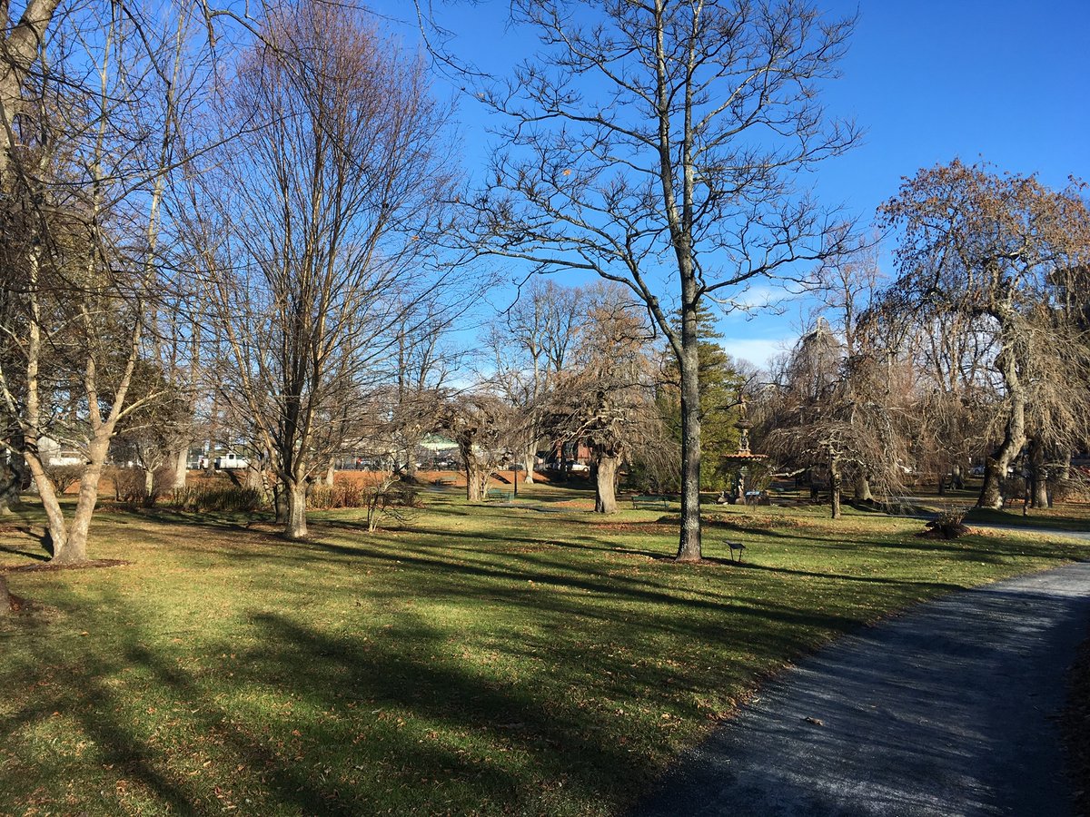 TreeCanada's tweet photo. The next time you're outside, take a #TREEphotograph of your favourite #tree and share it with us to be featured on our feeds! Don’t forget to add our handle to your comment and use this hashtag #TreeCanadaPhoto!
🗺️ #HalifaxPublicGardens, #NS https://t.co/ZRUS8K6EYh