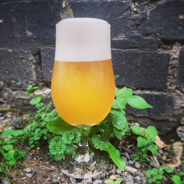 Vossihop, Coelsch, Vienna Lager, West Coast Pale, Chen-Pi Saison, French Hopped Lager &amp; Table beer all on the on our on-line shop for delivery tomorrow calverleys.com/shop