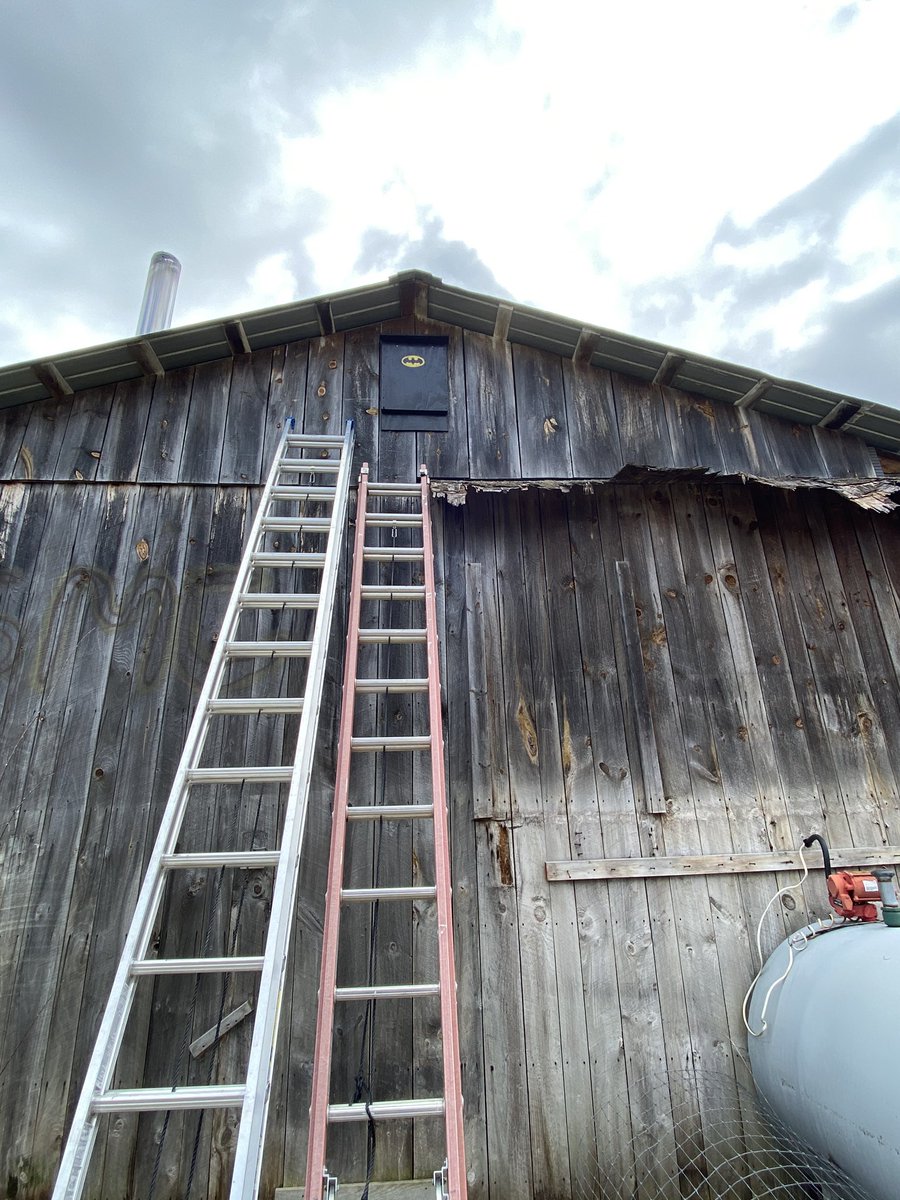 One of the less productive things I’ve done since being in Vermont.