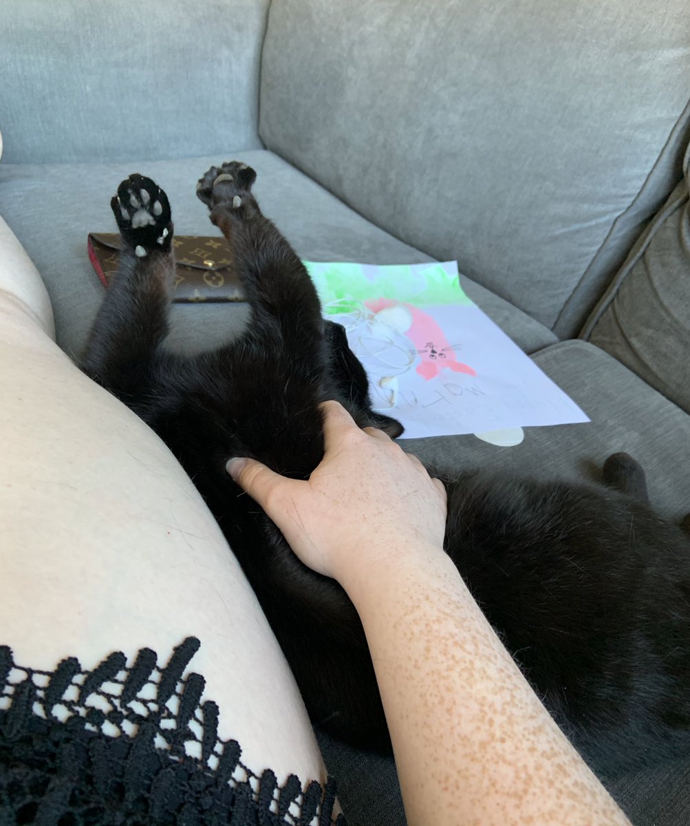 catashians's tweet photo. Wave your paws up in the air 🐾

#toebeans #ToeBeanTuesday #partytime #tummyrubs #naptime #blackcat https://t.co/jb6bmj6yLK
