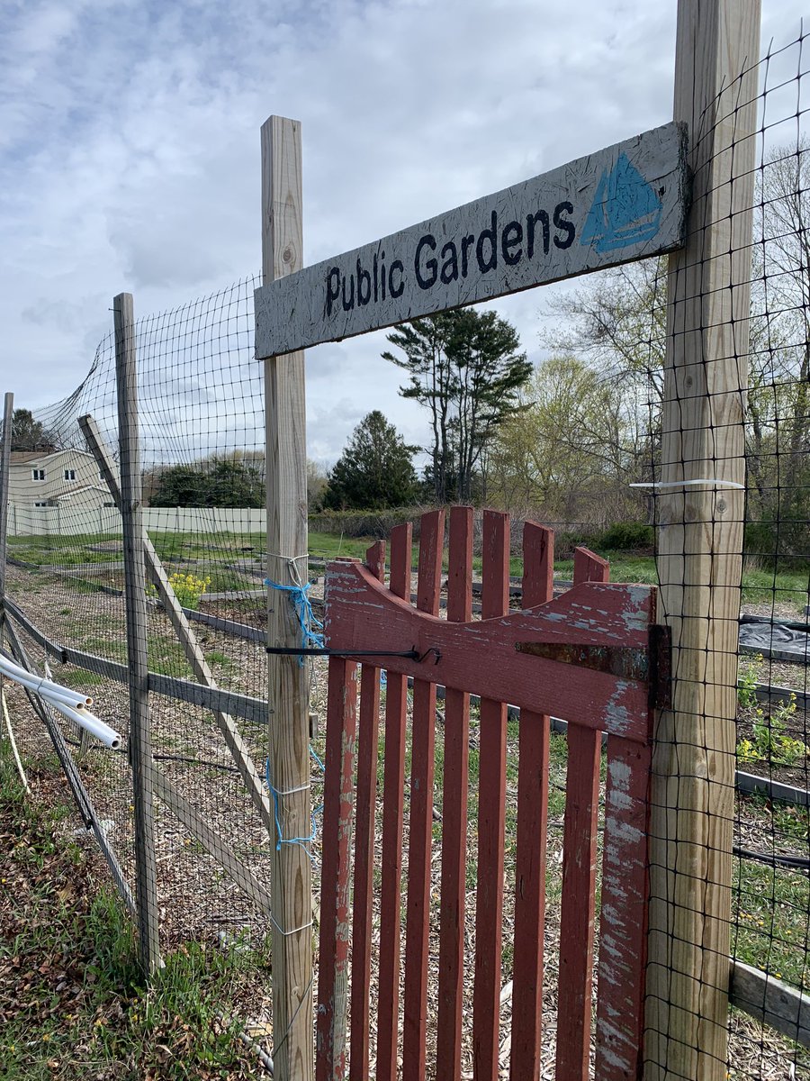 JillKarwoski's tweet photo. Purchased a garden plot from our community rec department to help out. Now what? #BrownThumbs 🌱 https://t.co/h8GbyF4AJB