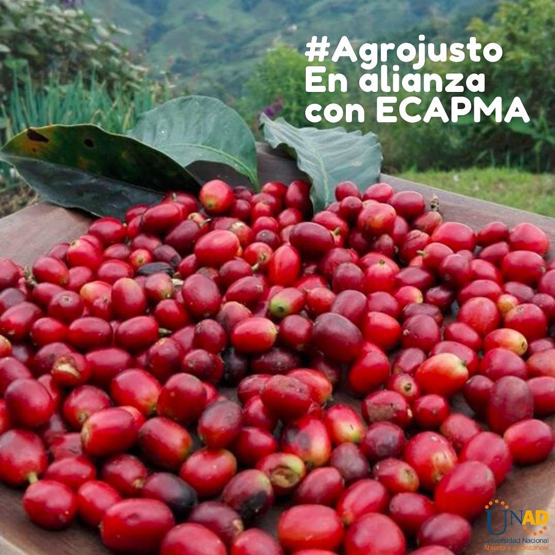 CAMPOUNAD tweet media