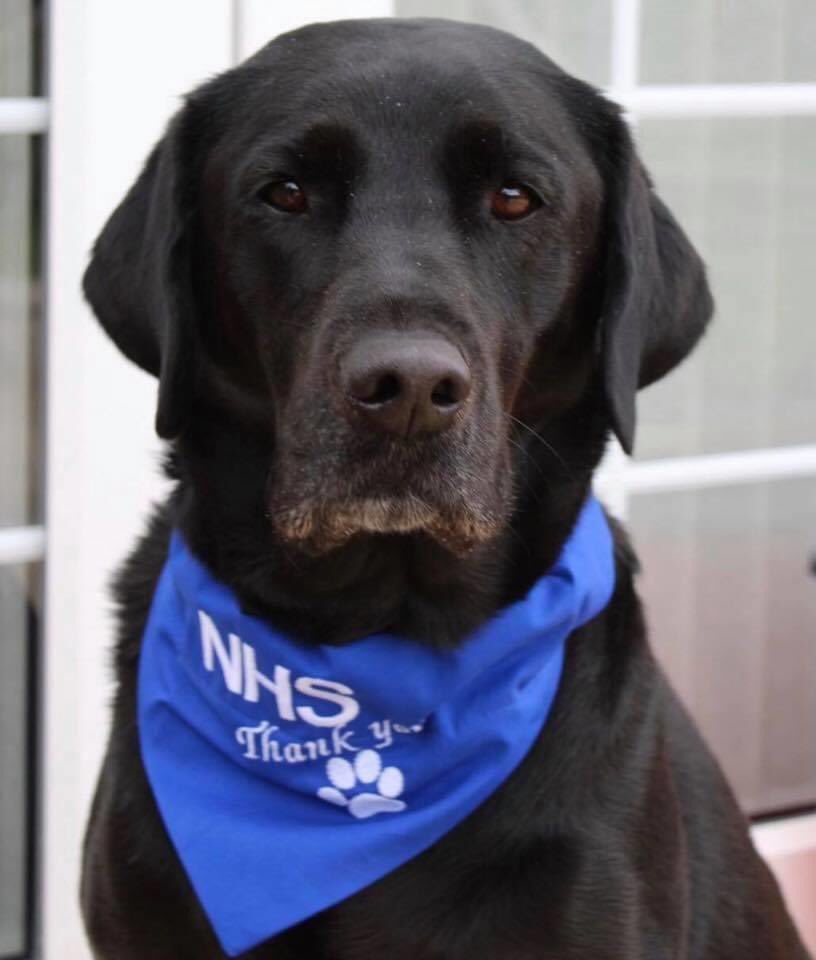 Zukiestyle's tweet photo. Thank you so much to everyone who has purchased the #NHSThankYou bandanas we can’t believe how much response we have had! A little idea from @TeamEdwardNotts has so far raised over £3000 for our wonderful #NHS #StaySafe #StayHomeSaveLives #lincsconnect all profits go direct 💙💙 https://t.co/bCa0n62Btg