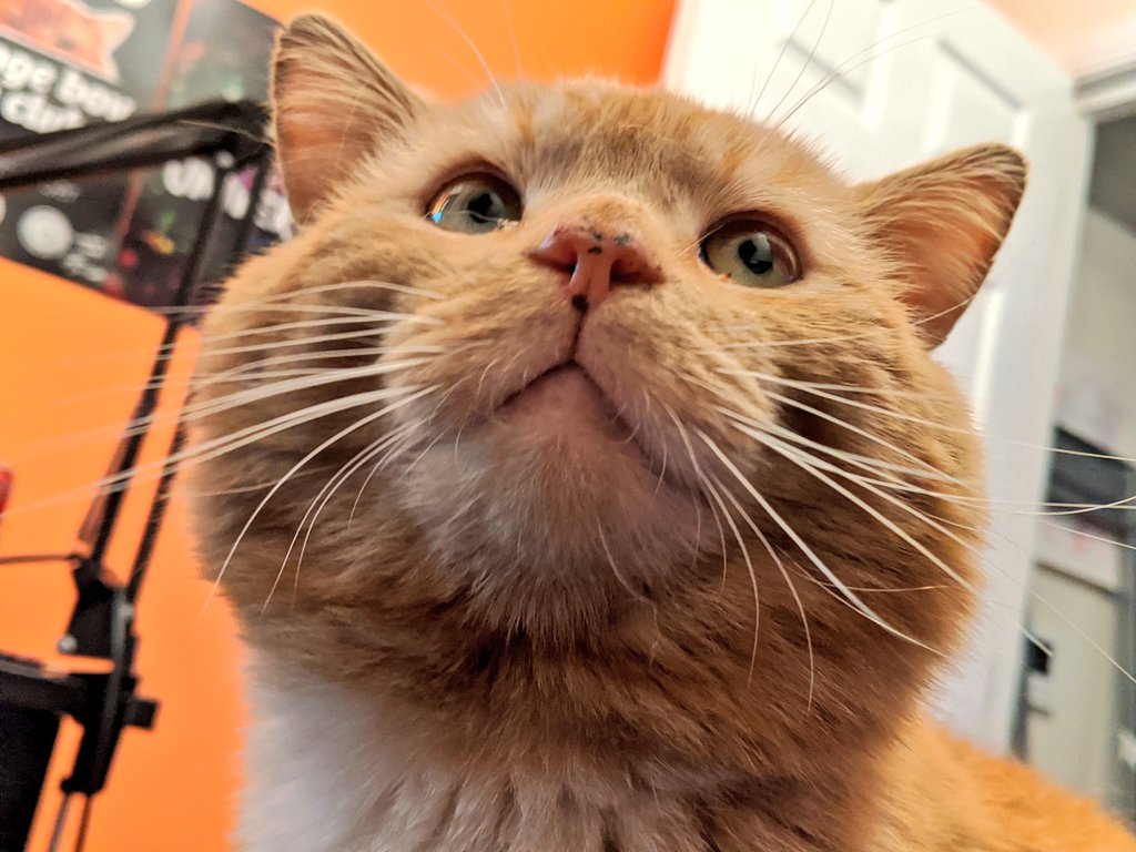 thegoodcatboy's tweet photo. im here to love ,,my friemds https://t.co/FZFn28wK1P