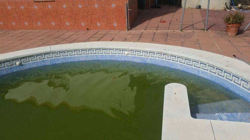JorgeDanorba's tweet photo. Recupera el agua verde de tu piscina de forma sencilla sin vaciar https://t.co/0hJkQzaWY8 https://t.co/WQms1DVxf8