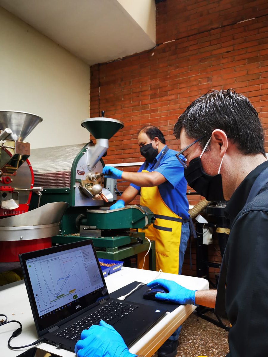 Guatemalacoffee's tweet image. @CupOfExcellence Guatemala 2020: Day 2. Our National Judges, Cupping Lab Team, and assistants are following our hygiene protocols and applying the double cupping method for the #GuatemalanCoffees submitted by amazing producers for this year's #CoE.