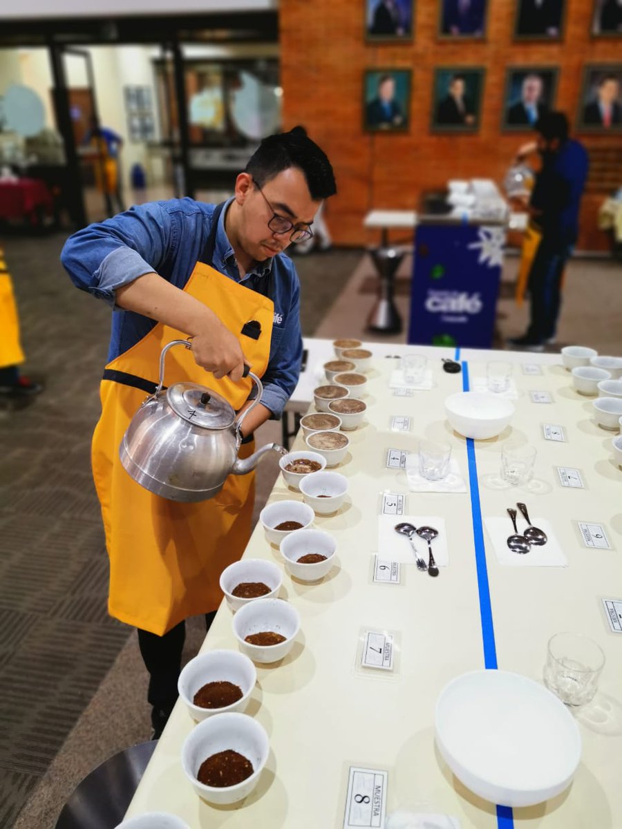 Guatemalacoffee's tweet image. @CupOfExcellence Guatemala 2020: Day 2. Our National Judges, Cupping Lab Team, and assistants are following our hygiene protocols and applying the double cupping method for the #GuatemalanCoffees submitted by amazing producers for this year's #CoE.