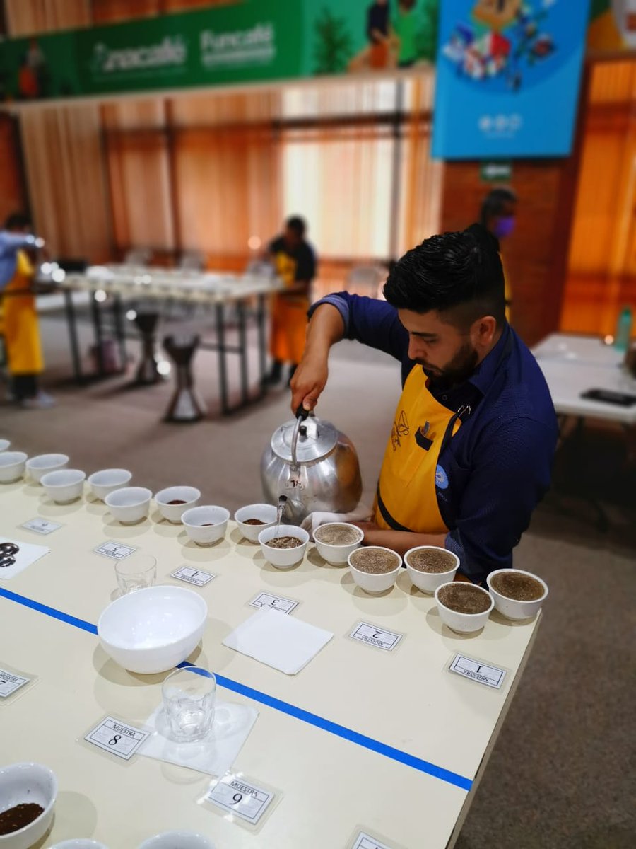 Guatemalacoffee's tweet image. @CupOfExcellence Guatemala 2020: Day 2. Our National Judges, Cupping Lab Team, and assistants are following our hygiene protocols and applying the double cupping method for the #GuatemalanCoffees submitted by amazing producers for this year's #CoE.