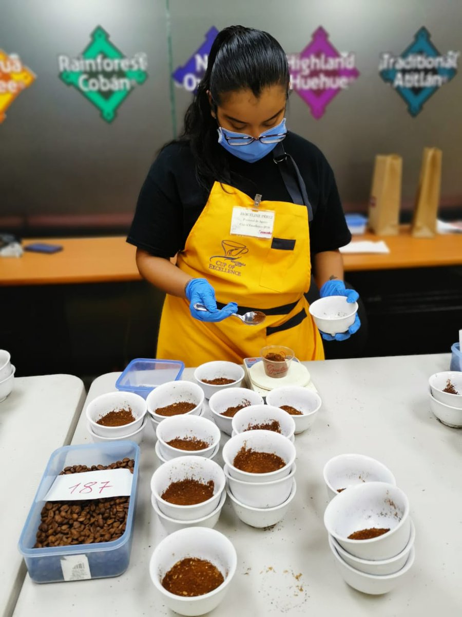 Guatemalacoffee's tweet image. @CupOfExcellence Guatemala 2020: Day 2. Our National Judges, Cupping Lab Team, and assistants are following our hygiene protocols and applying the double cupping method for the #GuatemalanCoffees submitted by amazing producers for this year's #CoE.