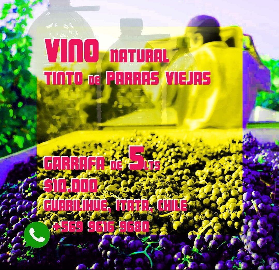 Llegó el chimbomboooo! Cinsault del Itata! Pasa la voz! 5 litros x $10.000