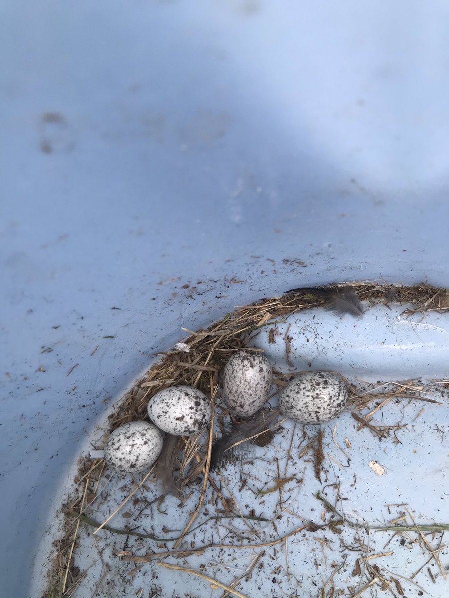 Field trip to the Nest Box Trail at Greenbriar. <a href="/GB_Yeoman/">Greenbriar Middle School</a> <a href="/SararGood/">Sara Good</a>