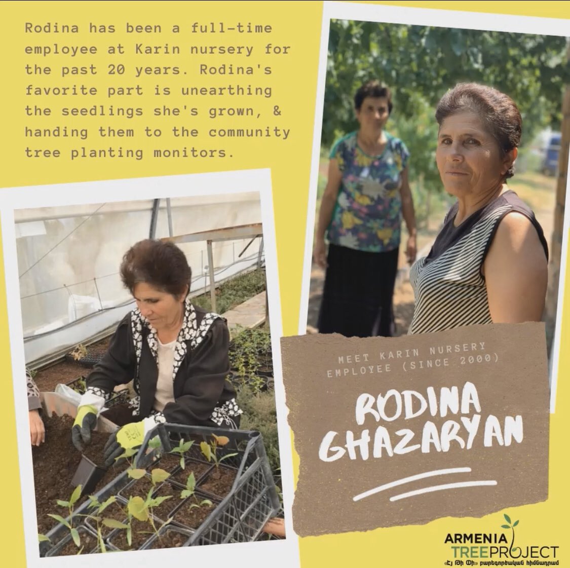 ArmeniaTree's tweet photo. Employee Spotlight featuring a full-time employee at Karin Nursery, Rodina Ghazaryan 🌱 #ArmeniaTreeProject #ArmeniaTree #Tree #Armenia #Planting https://t.co/eQVlaJumGn