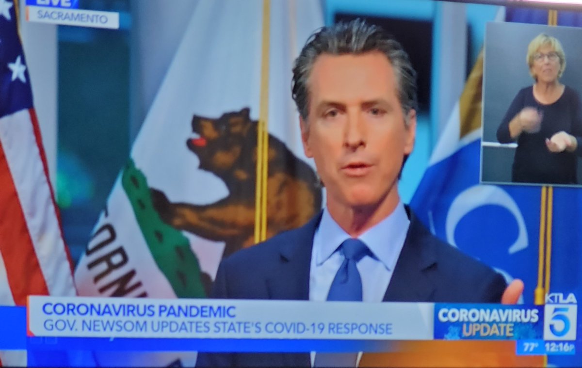 David Wohl tweet media