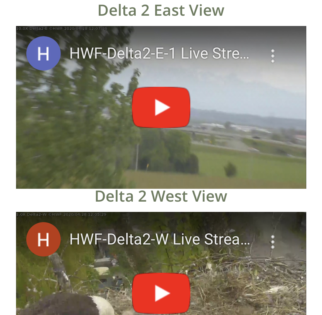 Eagle sightings are a big part of living in beautiful Delta, BC. 🦅 To stay up to date on some local eagles, or for a fun activity with your kids, check out the live stream on the Eagle Cam 🎥 from Hancock Wildlife here: hancockwildlife.org/delta-2-cams/