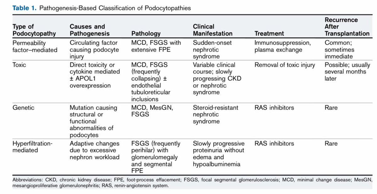 edgarvlermamd's tweet photo. Approach to Diagnosis and Management of Primary Glomerular Diseases Due to Podocytopathies in Adults: Core Curriculum ca. 2020 from @AJKDonline @asbomback #Nephpearls 
👉🏼 https://t.co/yBTNdaRpcn https://t.co/r2ePwvgGCj