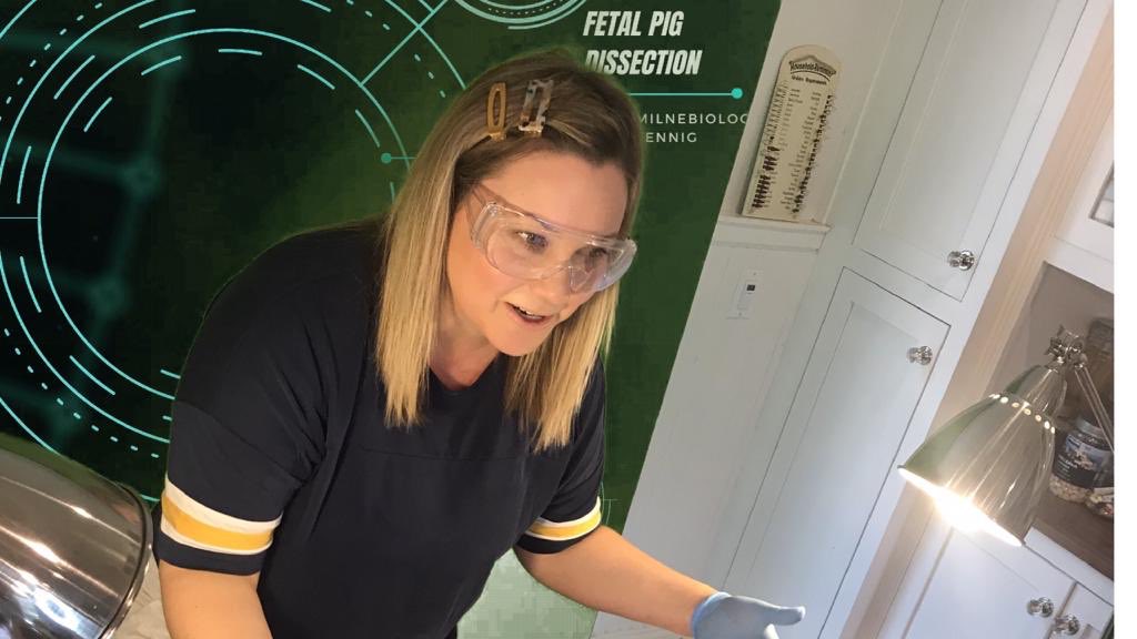 MrsMilneBiology's tweet photo. That time during a global pandemic when #MilneBio & @mrsfennig combined all Human Bio for a Live Fetal Pig Dissection. Not the same as being in our lab, but it felt great to see our students on the screen and field live Qโs. S/O 2 @carmelhealth skills. So. Much. Joy. Today! https://t.co/ko9vFiTnWj