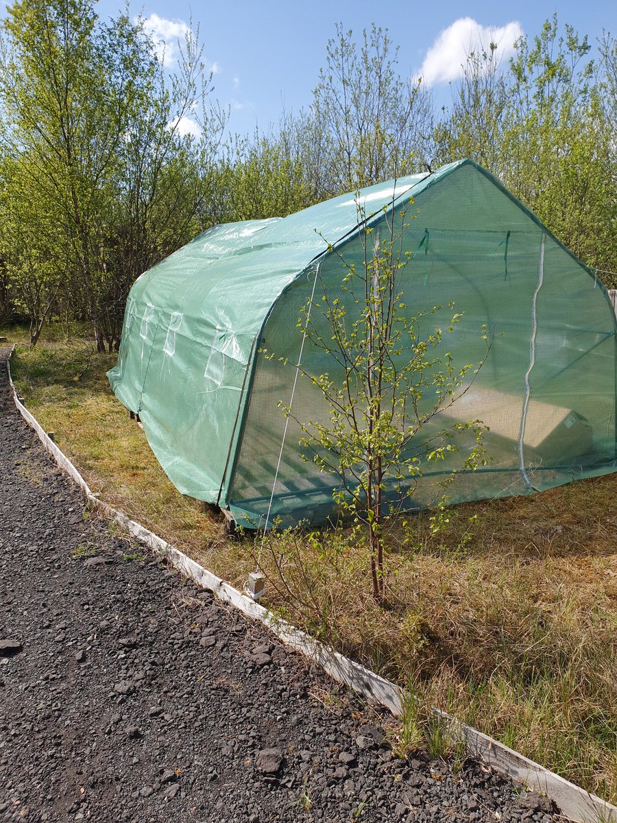Our new polly tunnel to allow us to teach young people responsibility through gardening and ownership theory.