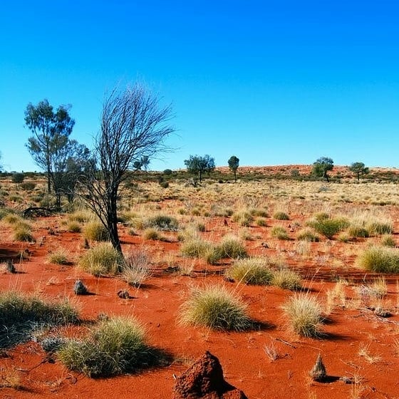gkworldz's tweet photo. Largest Desert in the world
https://t.co/fFSpofYUZy     
 #gkworldz #knowledgeempire #cipl #bagdirishab #largestdesertintheworld   #shyaripoetry #makemoneyonline #becomeenterpenure #becomebusniessmen #blooging #makewebsite #learnseo #smo #sem #trendsetter #EarnMoneyOnline https://t.co/nm5dU7YsZV