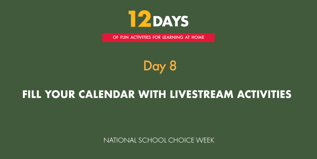 ntlschoolchoice's tweet photo. On day 8, get ready to fill your calendar with livestream activities! What activities are you participating in?
Here's a great list of options: https://t.co/0hes17ffDv
#freeresourceloop #togetherathome #ParentsAreTheNewTeachers https://t.co/SU3IfdB0o6