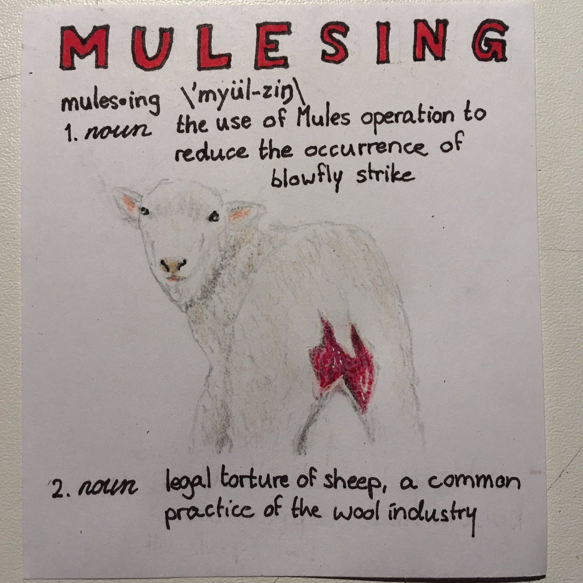 Lana_M_Vegana's tweet image. The wool industry, like all industries that use animals, is not as innocent as it seems. The good news is, no human has a biological need to use wool. Or any other animal product, for that matter. #govegan #stopusinganimals #wool #sheep #woolindustry #mulesing #artivism