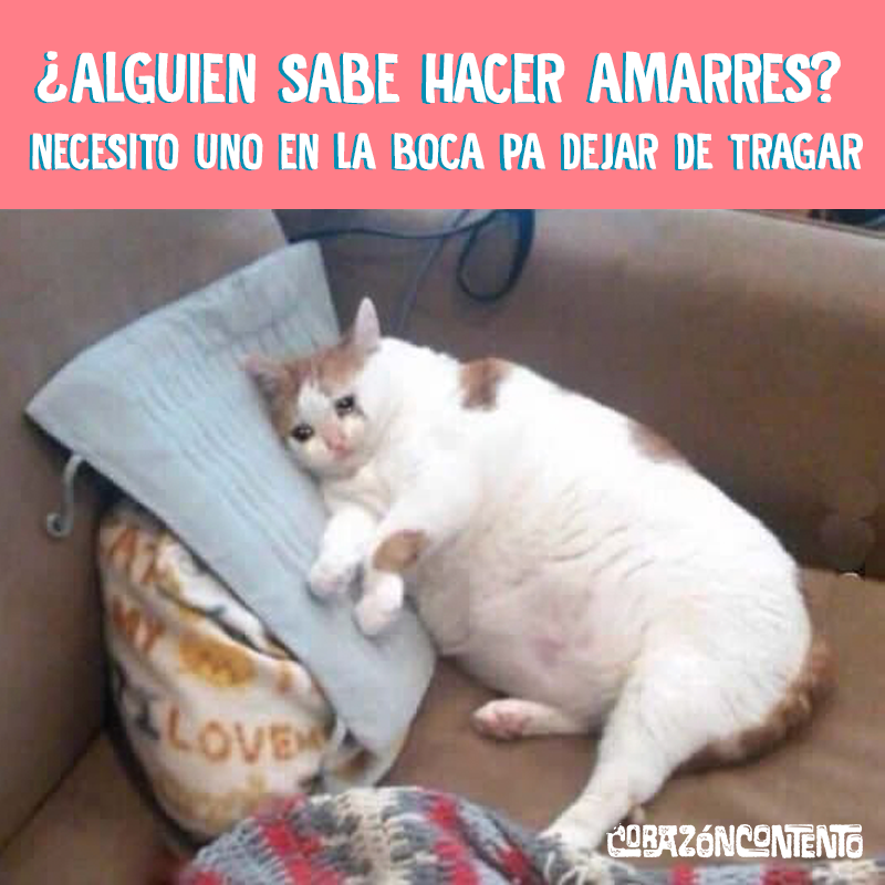 seriecorazon's tweet photo. "No tienes hambre, solo tienes aburrimiento. Ya cierra el refri" - Leído por ahí. https://t.co/dxx8kxkC37