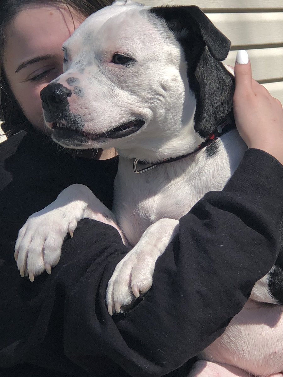 My babies, Bentley and Brooklyn.💙💜<a href="/SJGPride/">Stephen J. Gerace Elementary School</a> #petsweek   <a href="/PrincipalReiner/">Matthew Reiner</a>