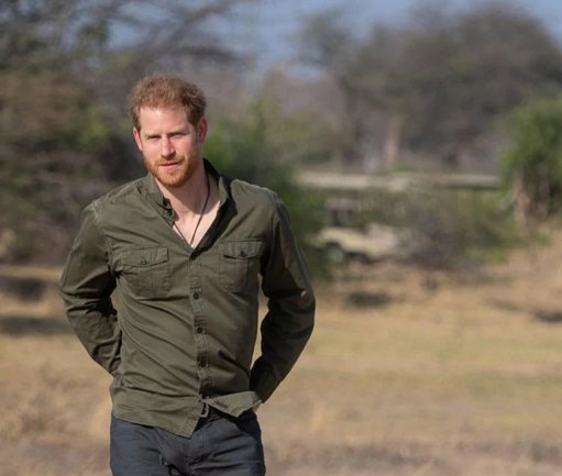 @GoodHouseSA tweet media