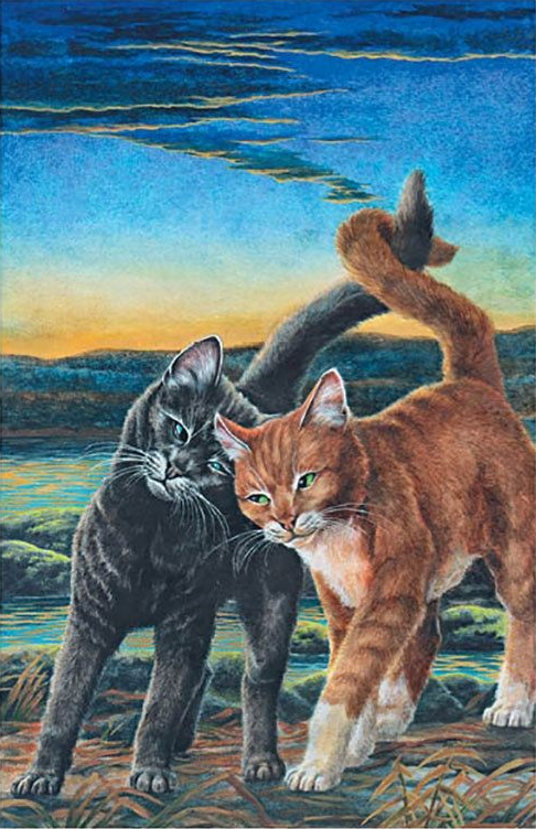 Сумерки коты воители