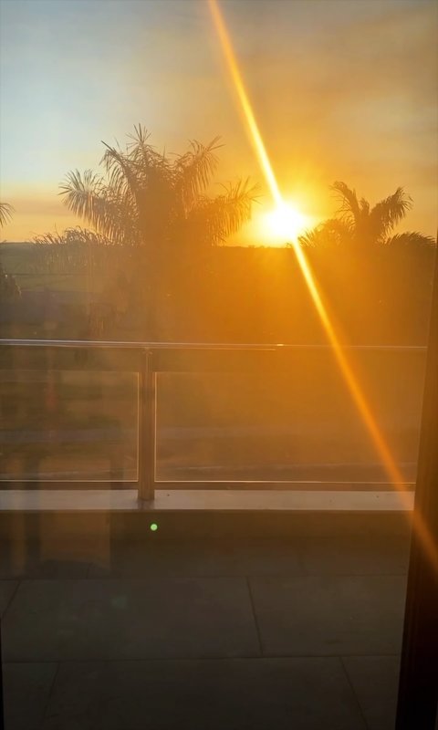 🔆🔆