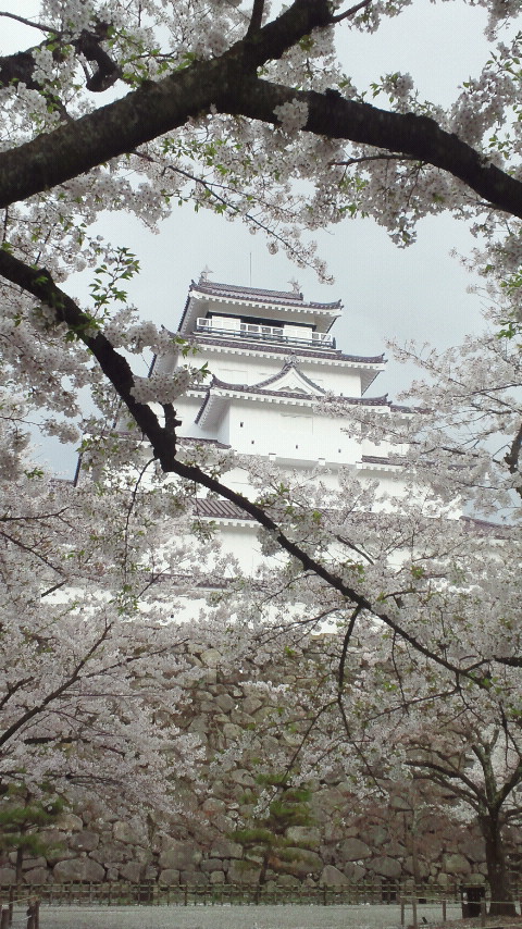 おはようございます。2011年4月の写真です。(笑)

5月1日～再開致します。
1日は味噌のみ
2日～6日迄は味噌・醤油・塩のみで考えております。
夜は20時迄20時以降はテイクアウトのみです。
すみません。1日は妻の病院の為不在になります。
↓↓↓↓↓