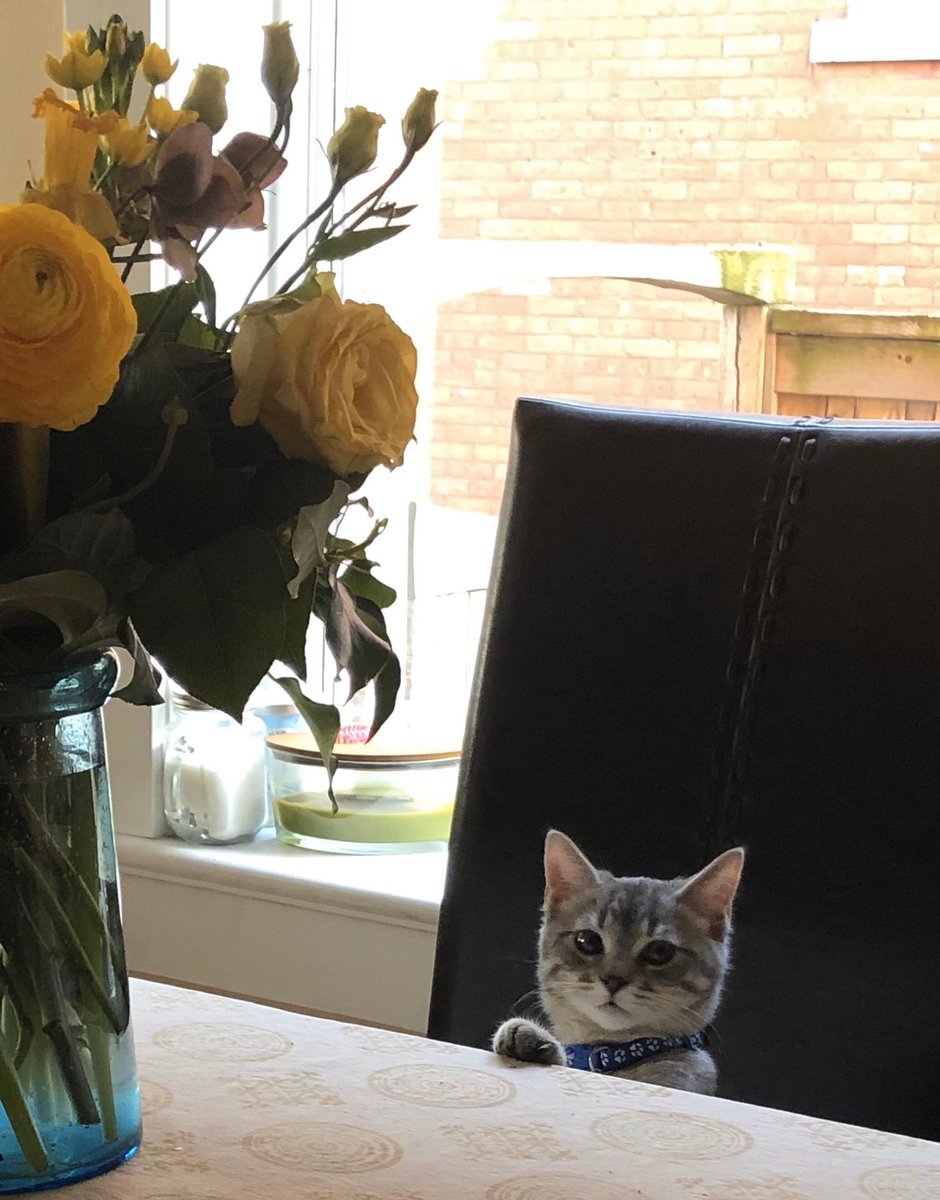 Day 7/7 of my life in pictures. No people, no description. 

It’s been a pleasure sharing these random bits of my life. And now I’m done. 😊