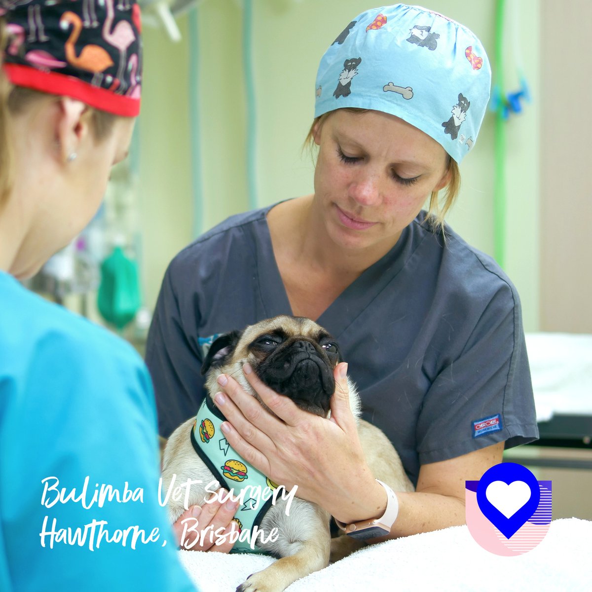 mylocalpocket's tweet photo. "We love the sense of community that our pocket provides. We have a neighbourhood of businesses surrounding us, who provide a wealth of care, compassion and dedication to our community. We wouldn’t be able to do what we love without them!" 
– Bulimba Vet in Hawthorne #brisbane https://t.co/4xQ3Kv67BD