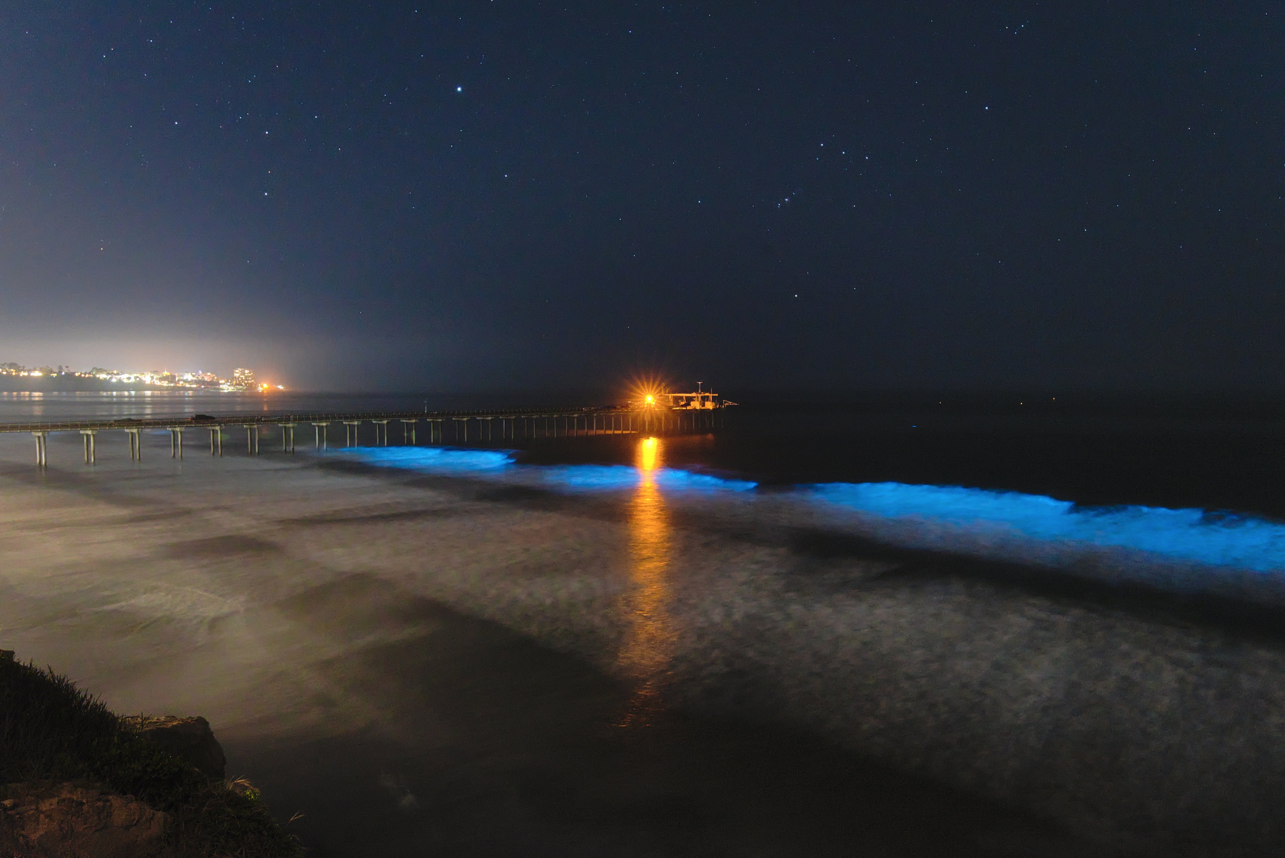 Scripps Institution of Oceanography on X: A red tide offshore Southern  California is bringing a spectacular display of bioluminescence to beaches  at night. But what is the science behind this natural light