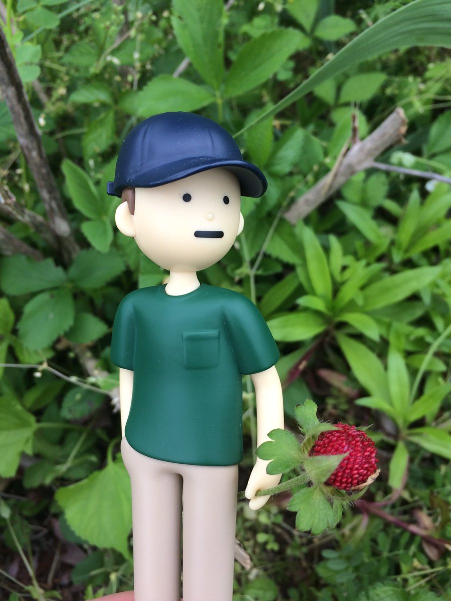 Tiny wild strawberry flowers and the strawberry itself, safe and harmless, but also flavorless (Yes,  @TinyYooning I ate this one too, hoping for a sweeter result.) Maybe the birds like them.