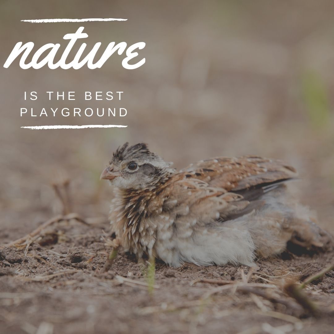 Long Acres Ranch tweet media