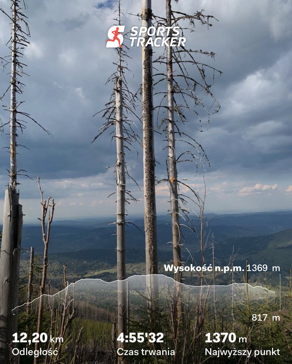 Zyzio Gnacki tweet media