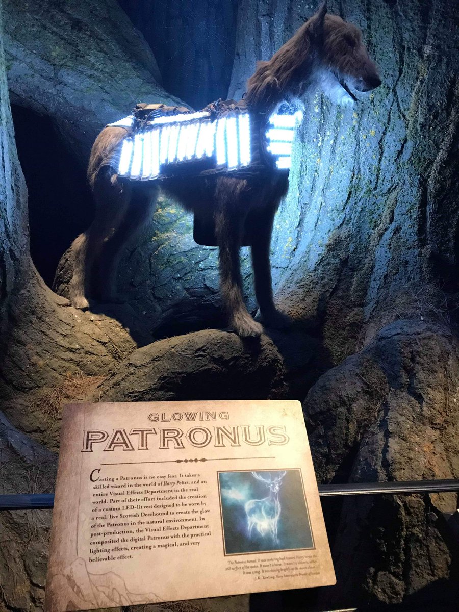 Le patronus #HarryPotter