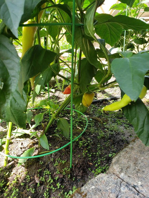 Hi All... Keeping life simple, training, bikes and eating well! https://t.co/iVcdbOIZ5b<a href="/tag/femalemuscle"class="tags"><span>#femalemuscle</span></a><a href="/tag/sessions"class="tags"><span>#sessions</span></a>