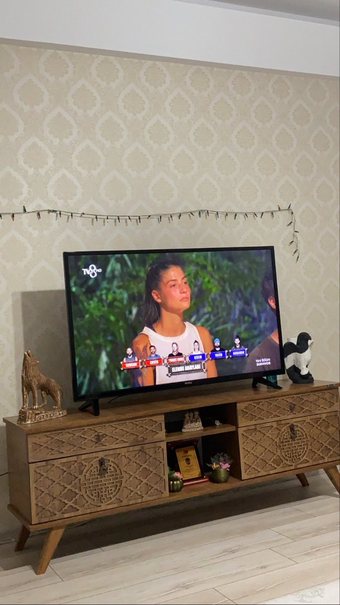 Hadi yine iyisin tatiline otelde devam edeceksin 😅 Good bye Gizooo 😂 #survivo2020