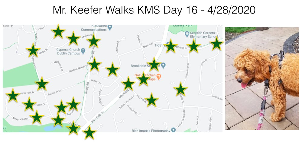 KMSRoom229's tweet photo. Whew! Juno and I walked 4 miles for the #KMSWander today. She was a little tired when we got back. She also was close enough to see @KarrerMS for the first time today. https://t.co/EQ7cPJWvlt