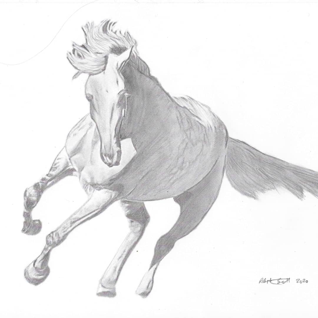 Premium Vector | Watercolor drawing of jogging horse painting running horse