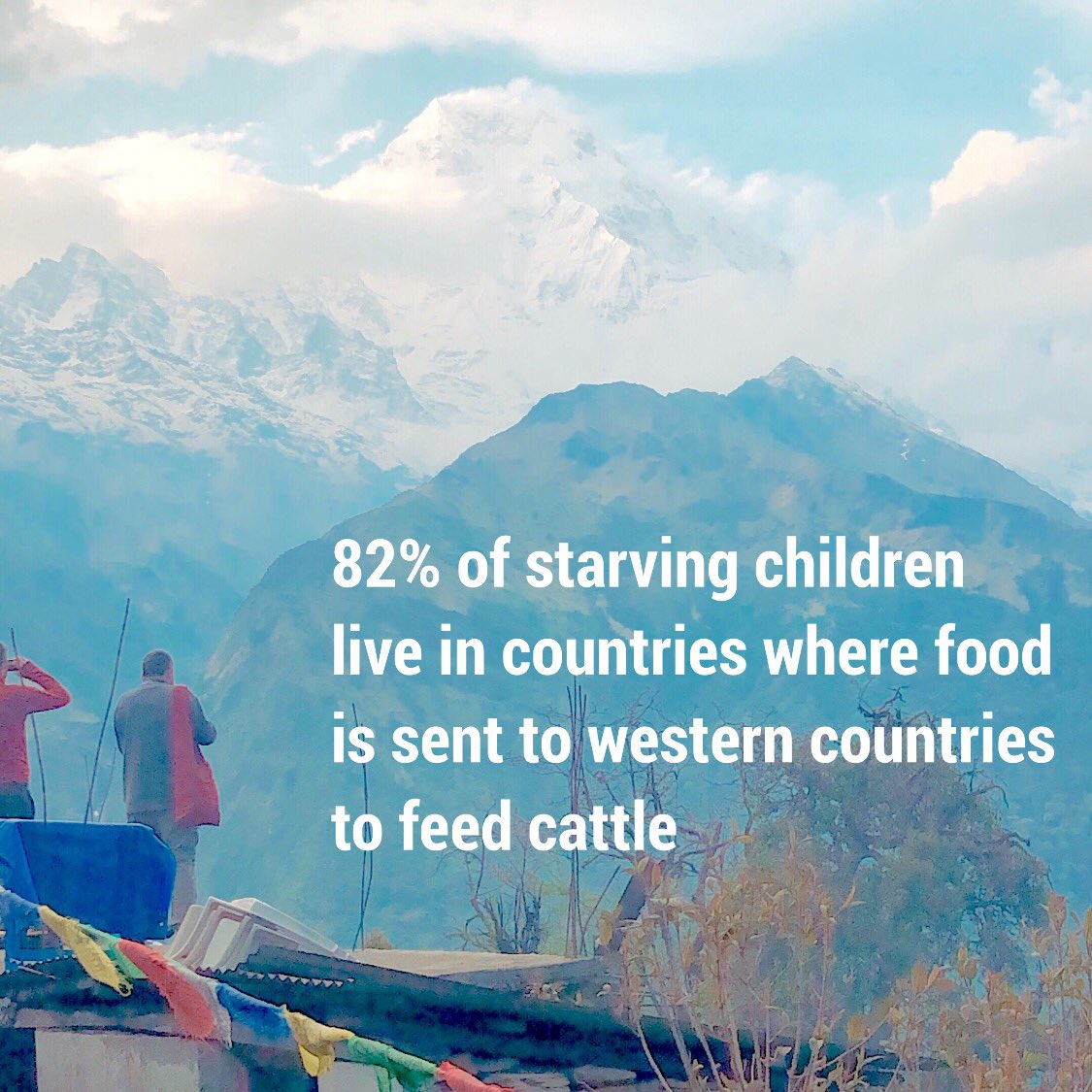 oneshiftorg's tweet image. Animal agriculture starves children around the world. We feed 70 billion land animals every year while 1 billion people don't have enough food. #plantbased #vegan #oneshift
