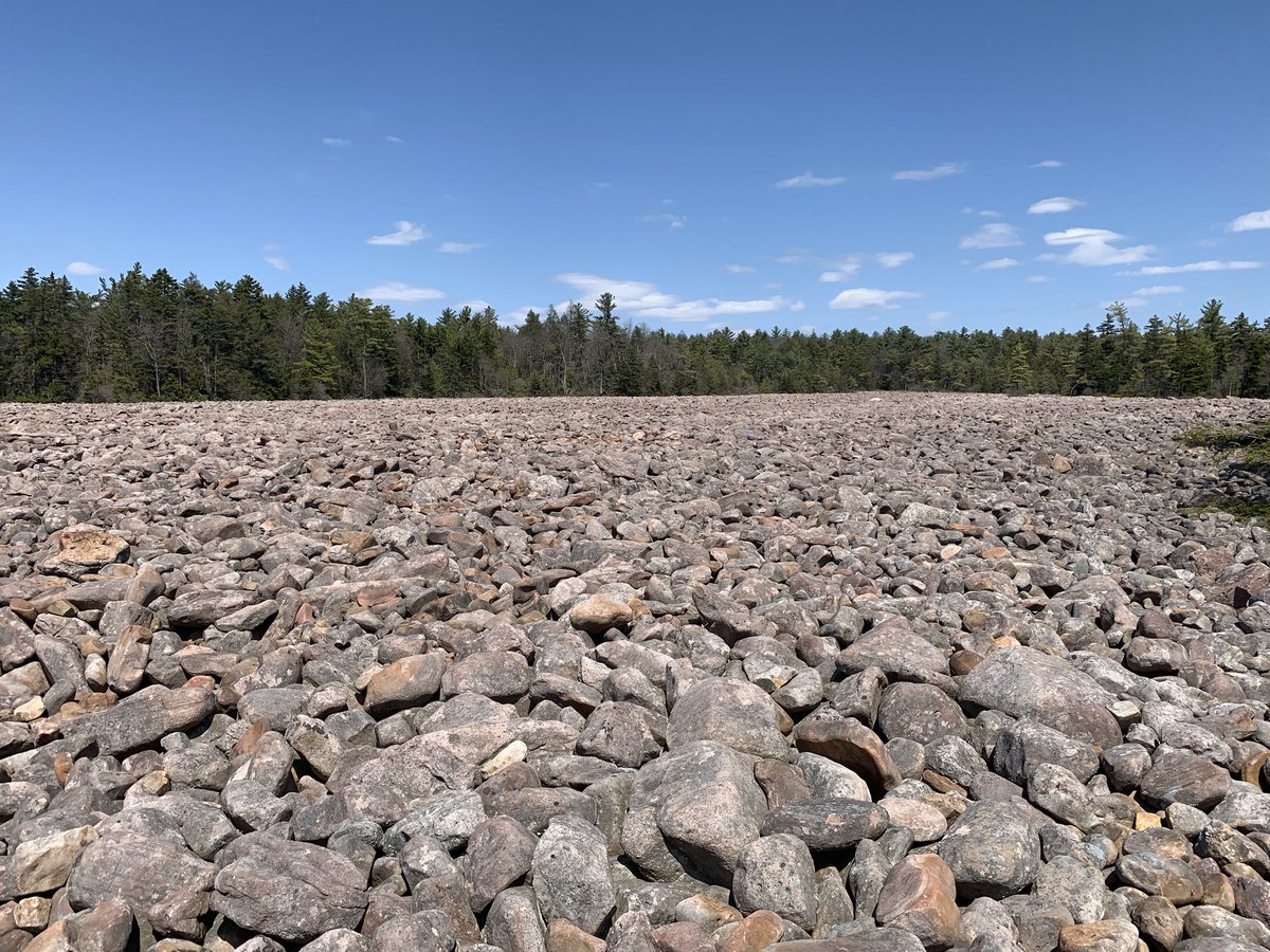 greg_king2's tweet photo. 7 mile hike today at Hickory Run State Park. Stopped at the boulder field for a rest. #SocialDistancing #go4ahike https://t.co/2O3pXFdUdI