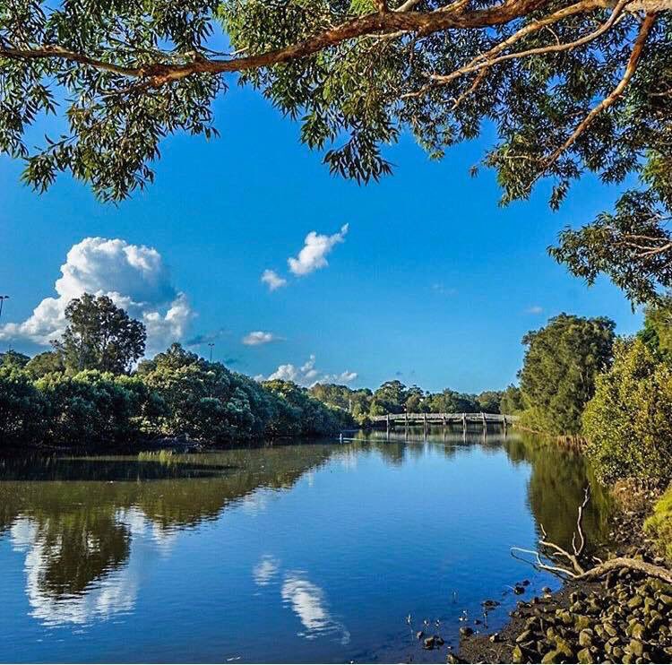 The magnificent Cooks River. A beautiful, quieter place to get your exercise and outdoor time.