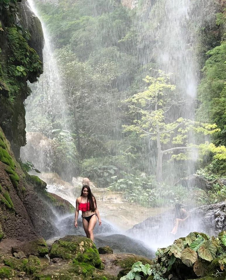 Visit Chiapas App tweet media